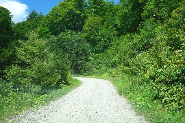 妙高高原公園線