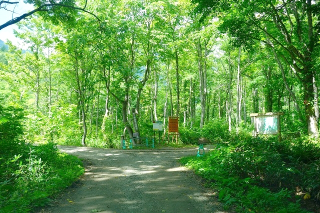 妙高高原公園線