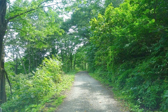 妙高高原公園線