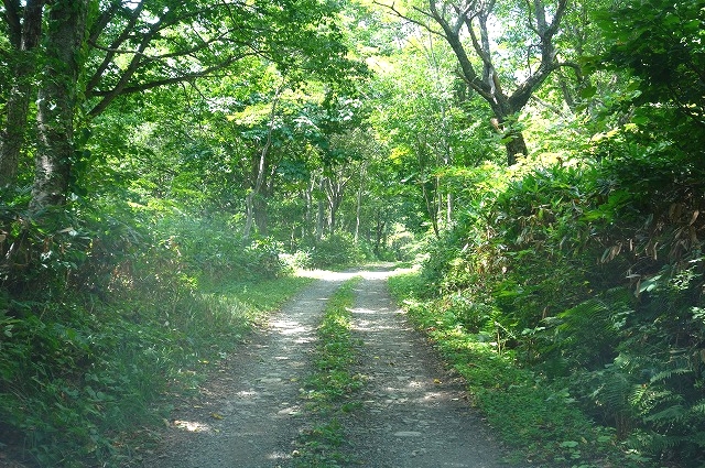 妙高高原公園線
