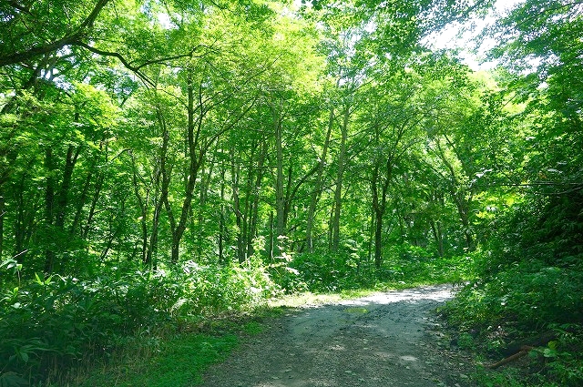 妙高高原公園線