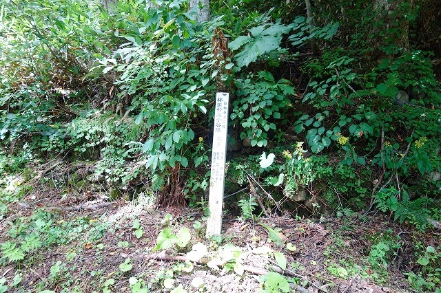 林道妙高小谷線起点の標識