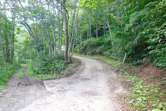 林道妙高小谷線起点の分岐