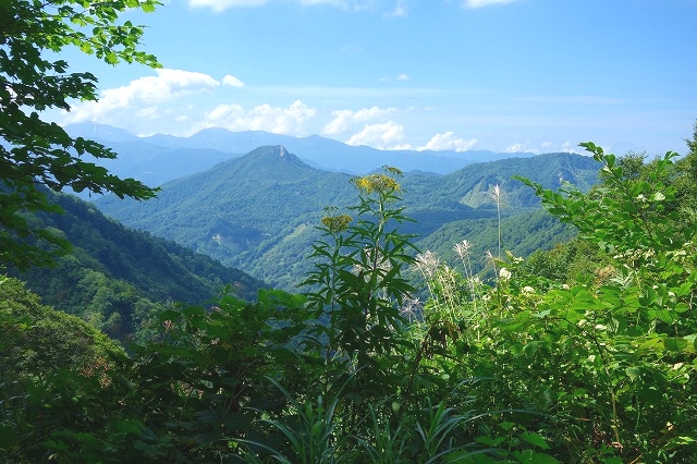 林道妙高小谷線　乙見隧道からの眺め