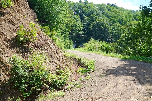林道妙高小谷線（小谷村）