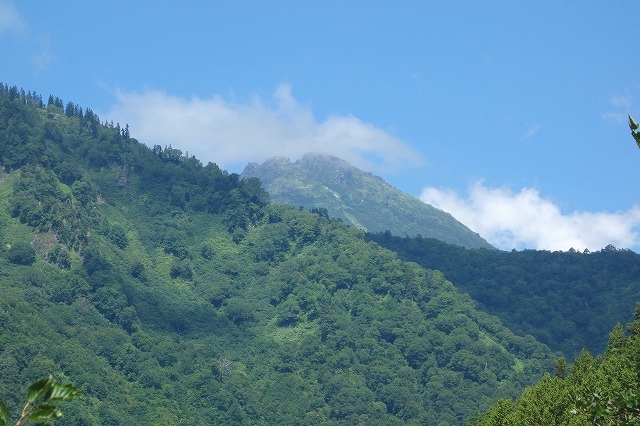 林道妙高小谷線（小谷村）