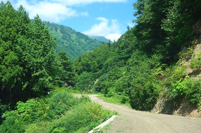 林道妙高小谷線（小谷村）