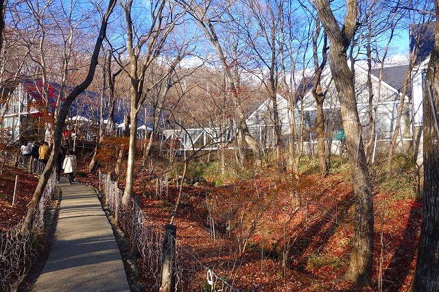 藤城清治美術館