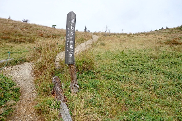 鉢伏山登山道
