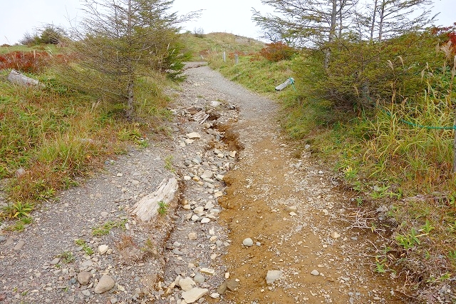 鉢伏山登山道