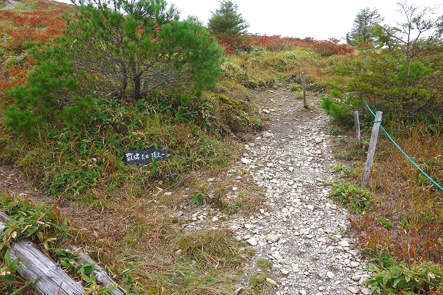 鉢伏山登山道