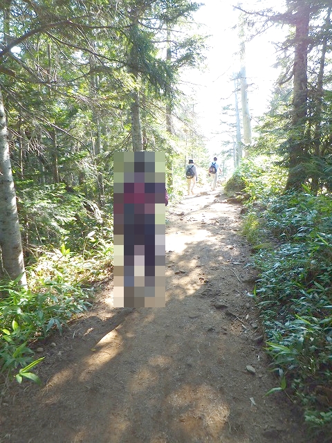 西穂高口駅～西穂山荘の登山道