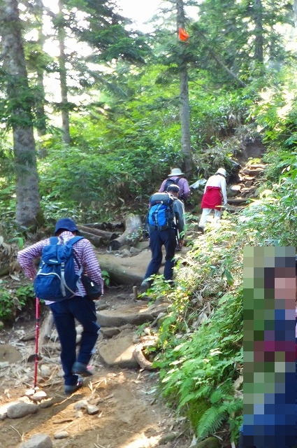 西穂高口駅～西穂山荘の登山道