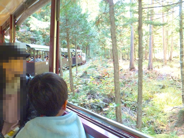 赤沢森林鉄道
