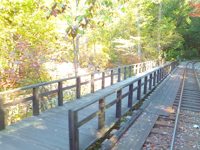 赤沢森林鉄道