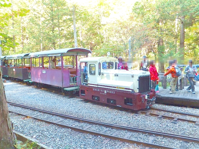 赤沢森林鉄道丸山渡停車場