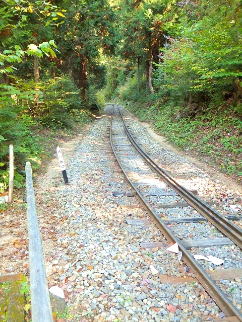 赤沢自然休養林遊歩道