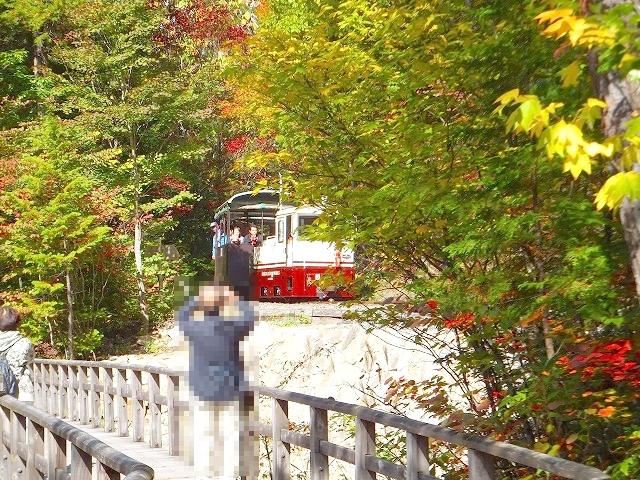赤沢自然休養林遊歩道