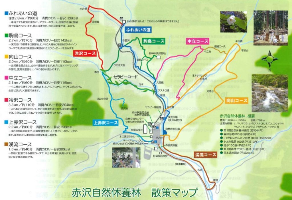 赤沢自然休養林散策マップ