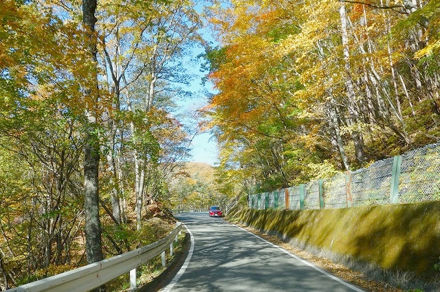 野反湖への道(国道405号線)