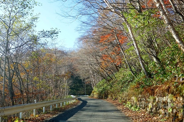 野反湖への道(国道405号線)