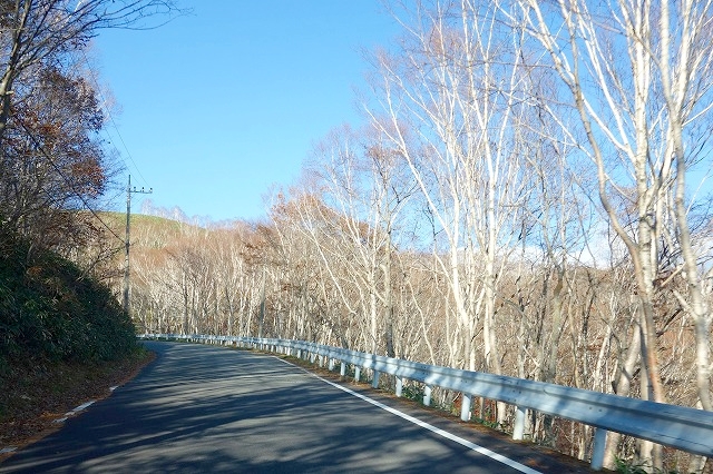 野反湖への道(国道405号線)