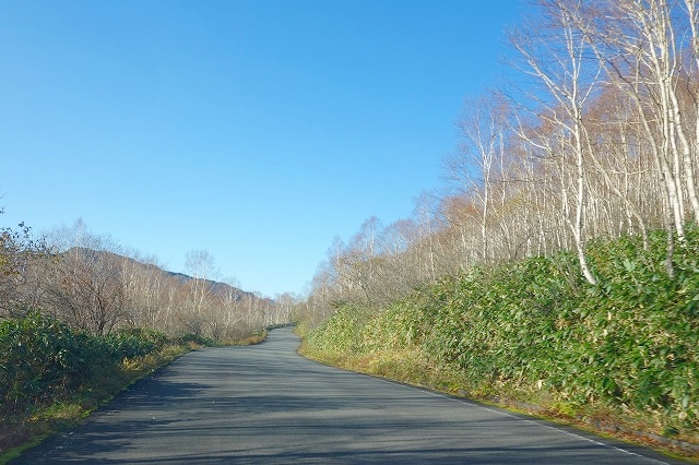 野反湖への道(国道405号線)