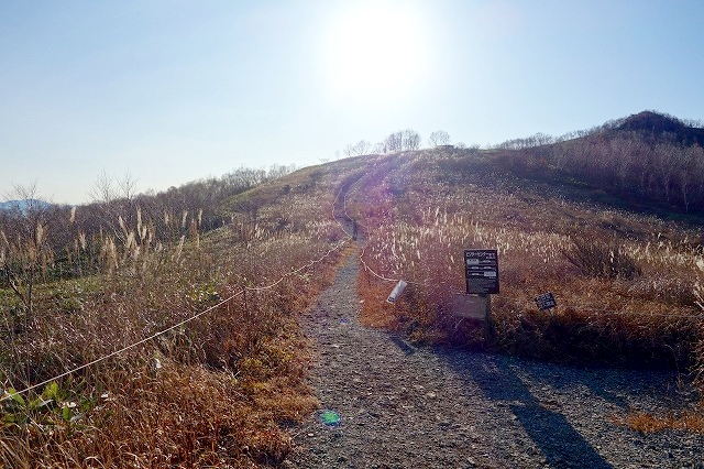 野反湖遊歩道