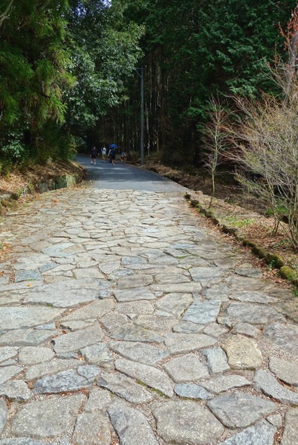 苗木城跡への道