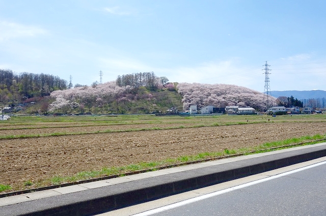 弘法山古墳全景