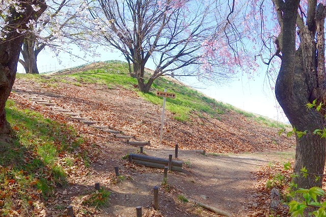 弘法山古墳後方部