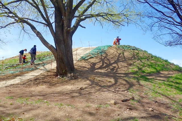 弘法山古墳後方部