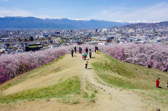 【弘法山古墳】東日本最古級前方後方墳　桜の名所散策と駐車場情報