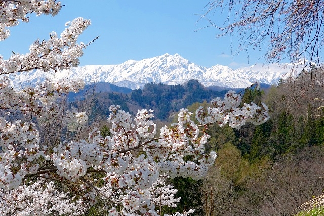 春の鹿島槍ヶ岳