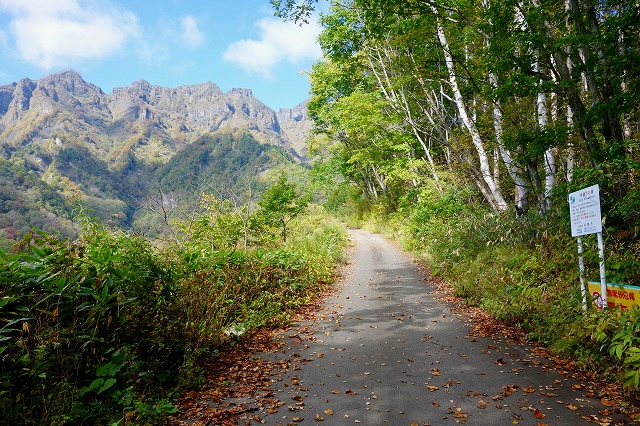 戸隠西岳林道