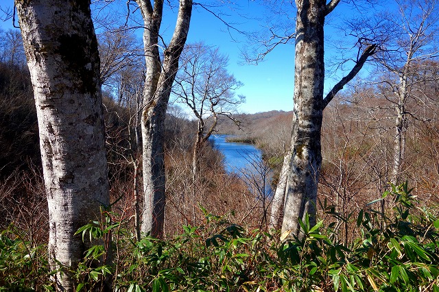 【低山ハイキング】冬こそ楽しみたい低山の魅力　危険性も確認