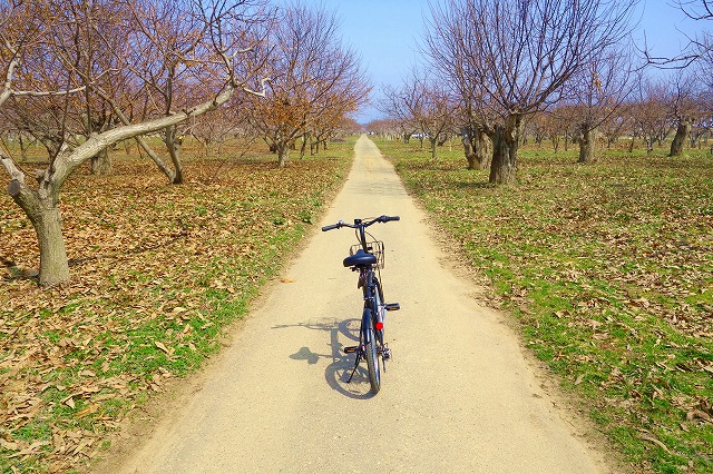 【小布施】早春の北信濃ドライブ&サイクリング北斎と栗菓子とアイス