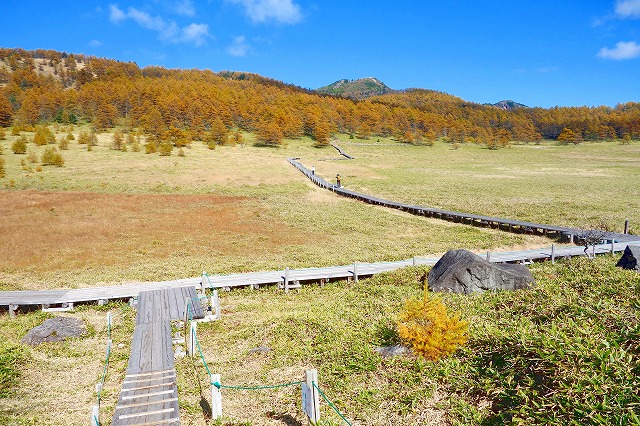 池の平湿原
